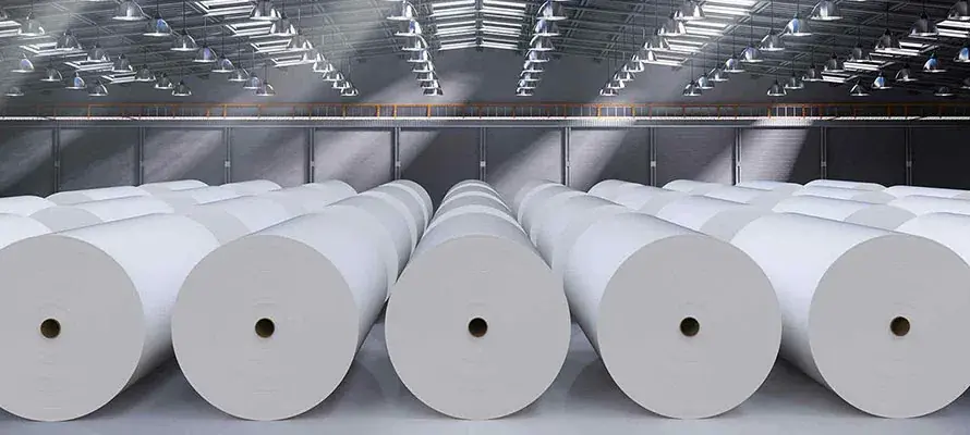 Pulp & Paper